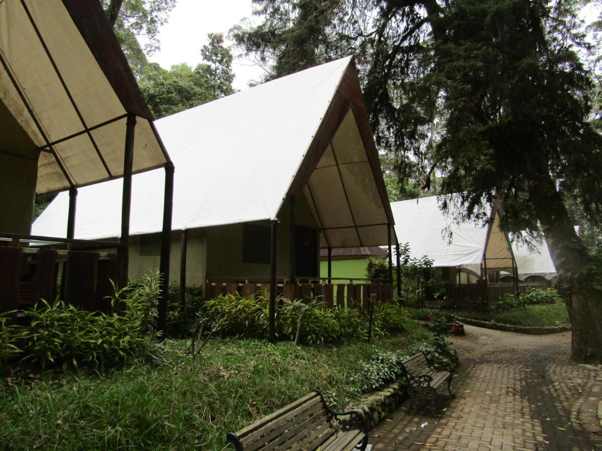 Lawu Forest Camp Sarangan Exterior foto