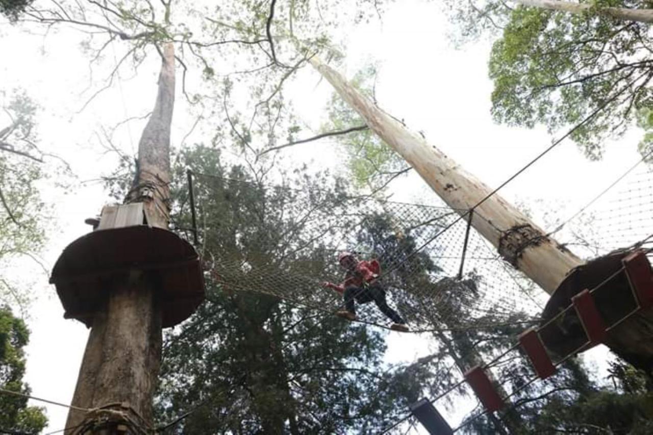 Lawu Forest Camp Sarangan Exterior foto